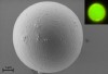 Emisión láser de umbral ultra bajo en microesferas orgánicas de polímero con el factor de calidad más alto reportado hasta el momento